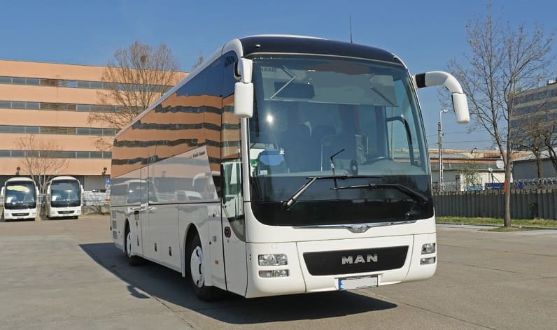 Pest: Buses operator in Pécel in Pécel and Hungary